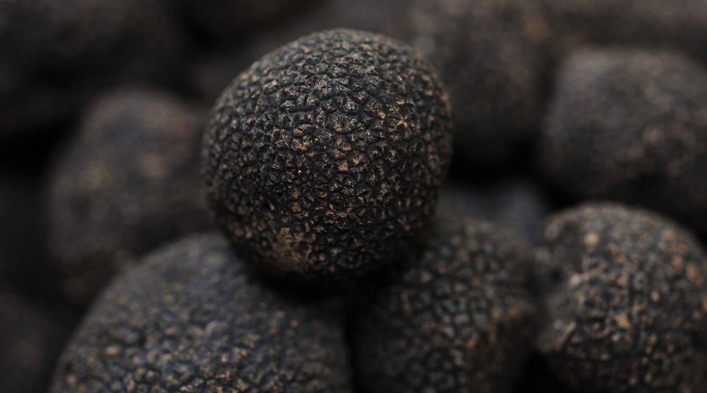 Prix de la truffe au kilo en 2026